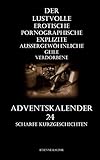 Der lustvolle erotische pornographische explizite aussergewöhnliche geile verdorbene Adventskalender: 24 scharfe Kurzgeschichten